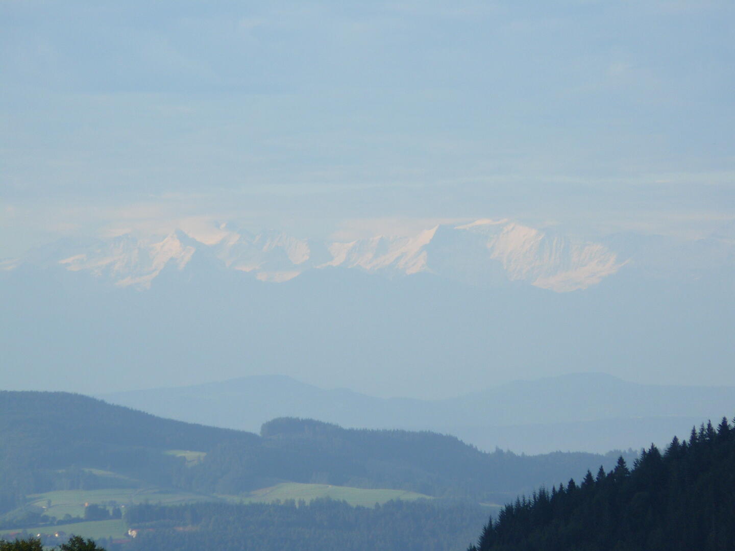 Alpenpanorama! Vom Belchen aus kann man bis in die Alpen schauen, laut Schautafel kann man Mönch und Eiger sehen.