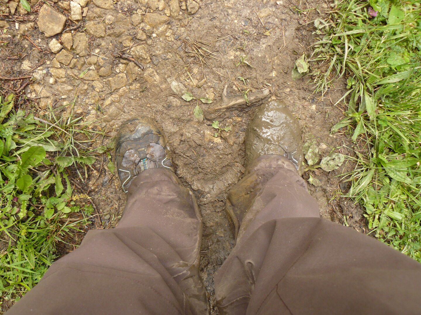 ... and muddy shoes. They were new a week ago!