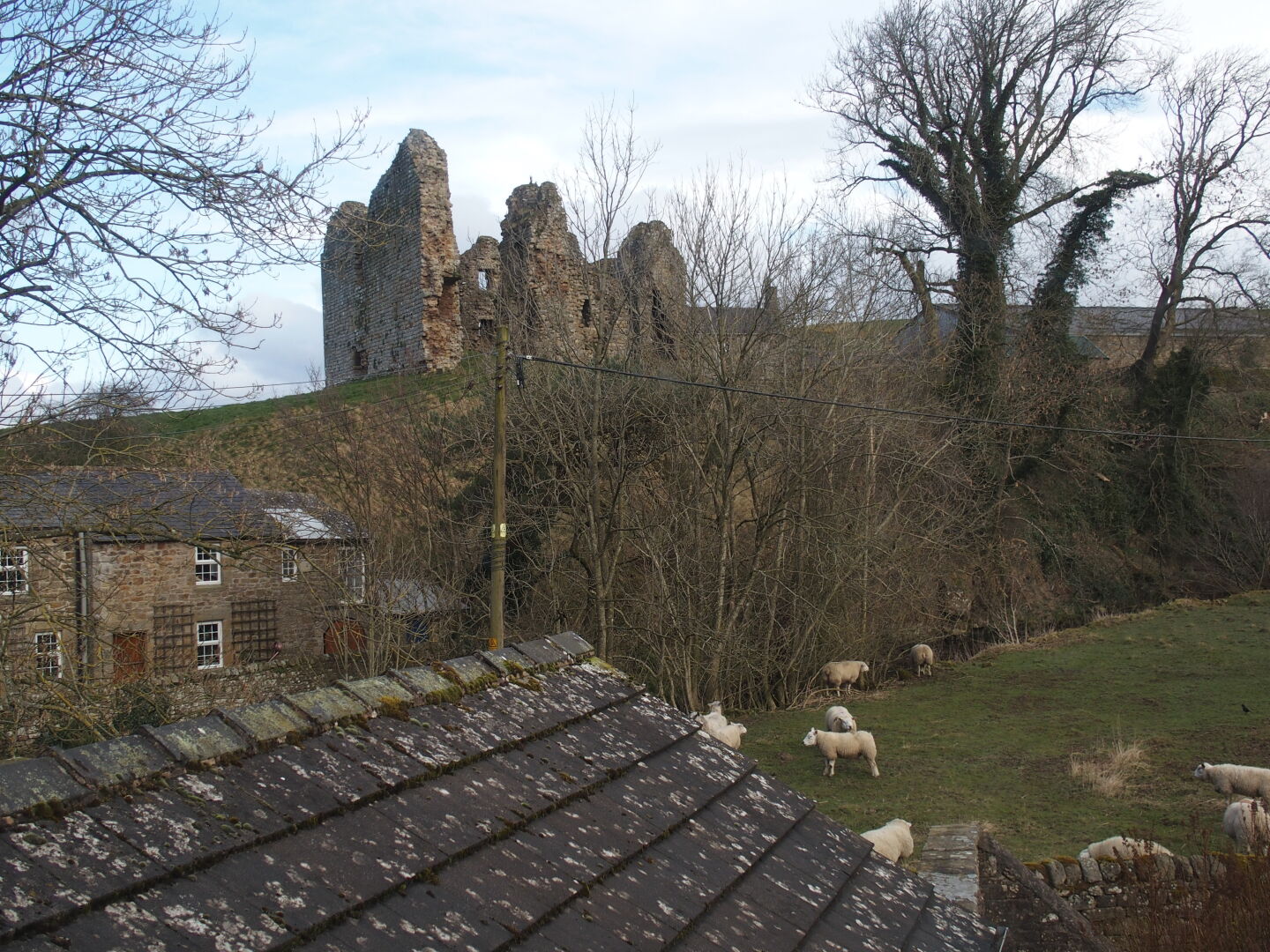 Our room in Holmhead guest house, and the view from the lounge: Thirlwall castle and sheep.