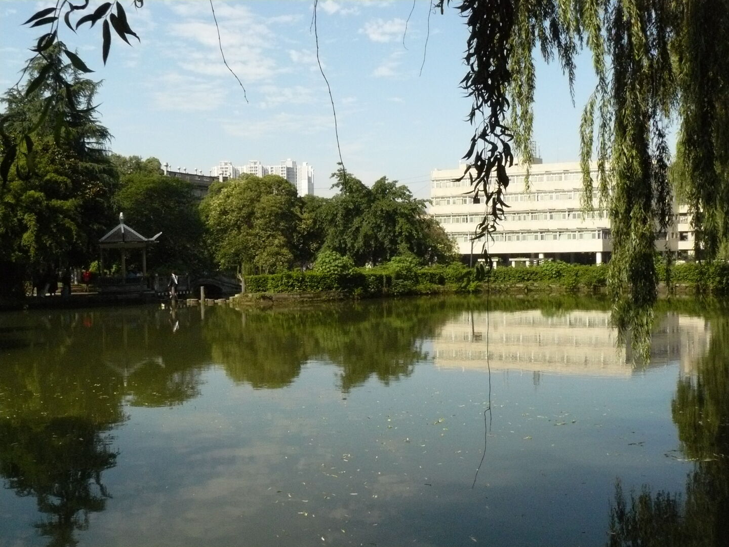 In the middle of the old campus, there is this artificial lake.