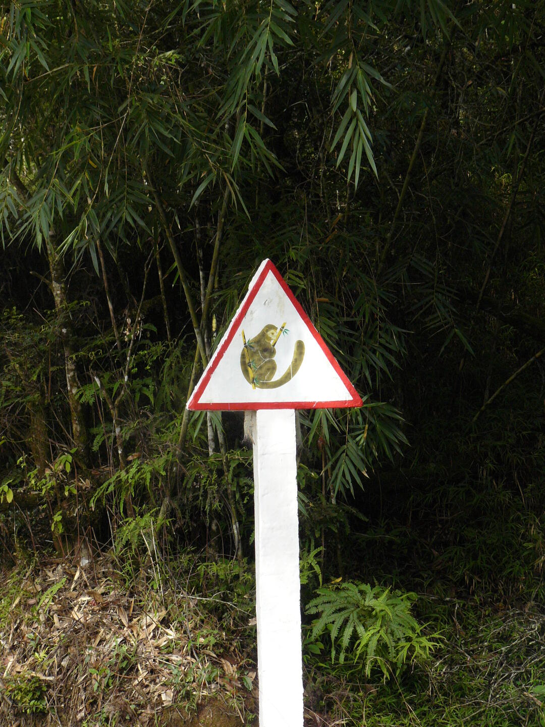 Achtung Lemuren! Die meisten
Verkehrszeichen sind in Madagaskar handgemalt.