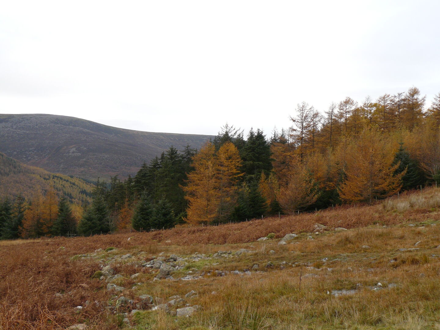 Autumn colours in the valley of River Liza, into which we proceeded from the Red Pike...