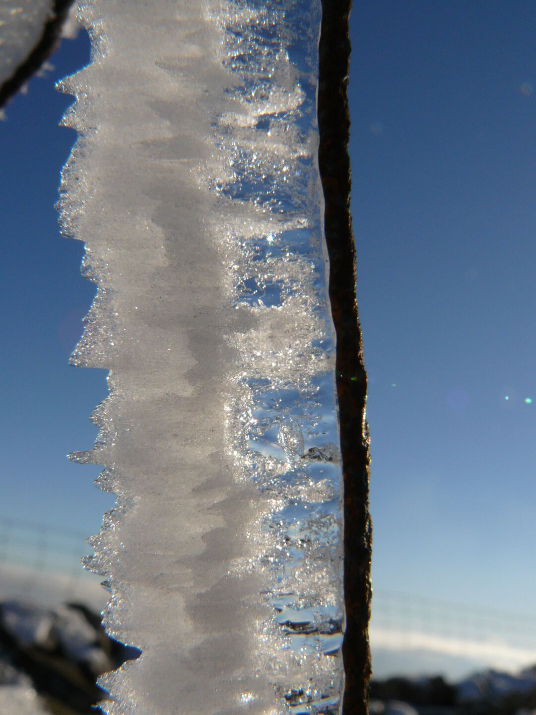 Windblown ice on a fence.