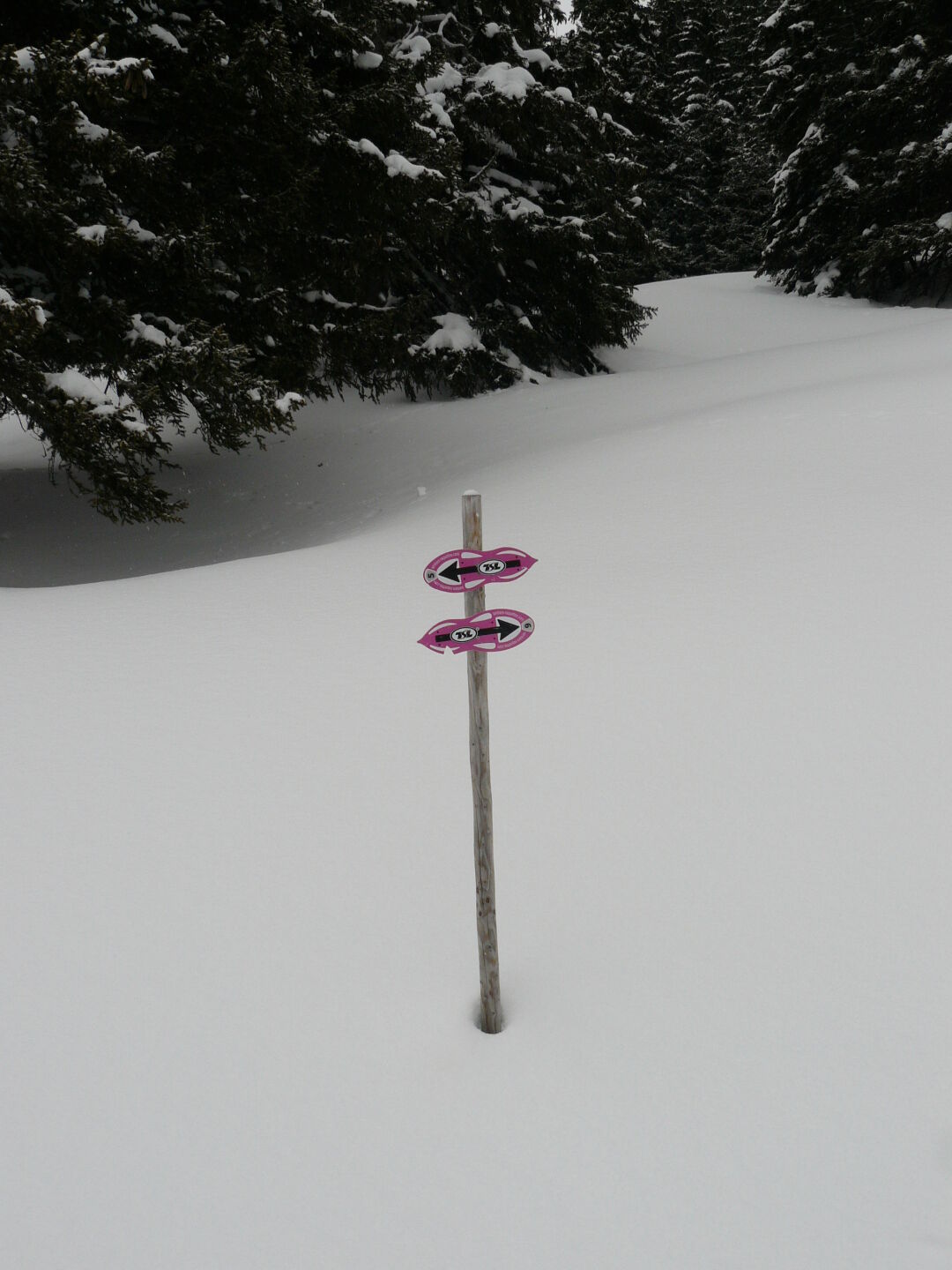 Signposts for the snowshoe trails.