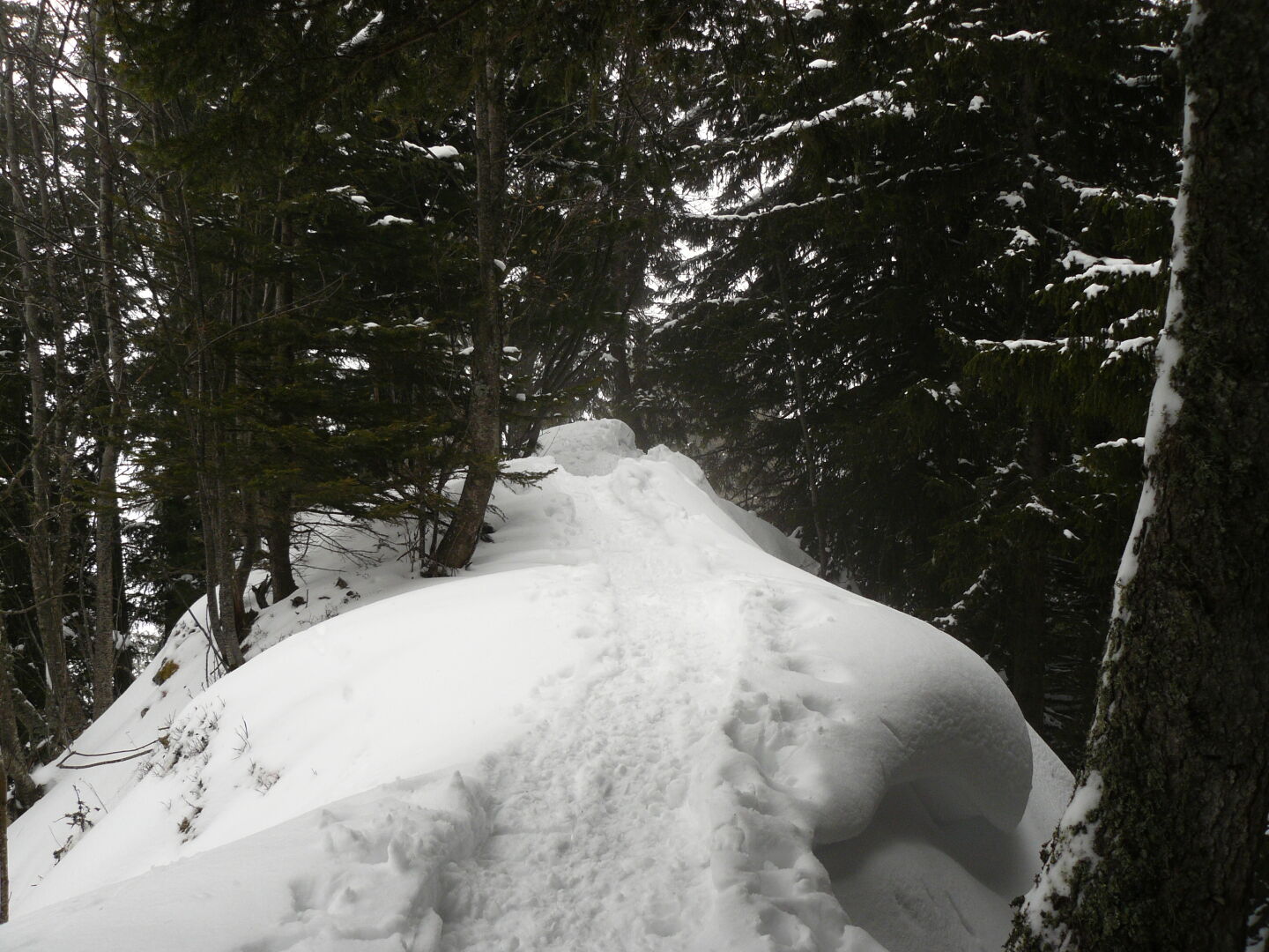 Path on the ridge near the Croix de l'Aiguille.