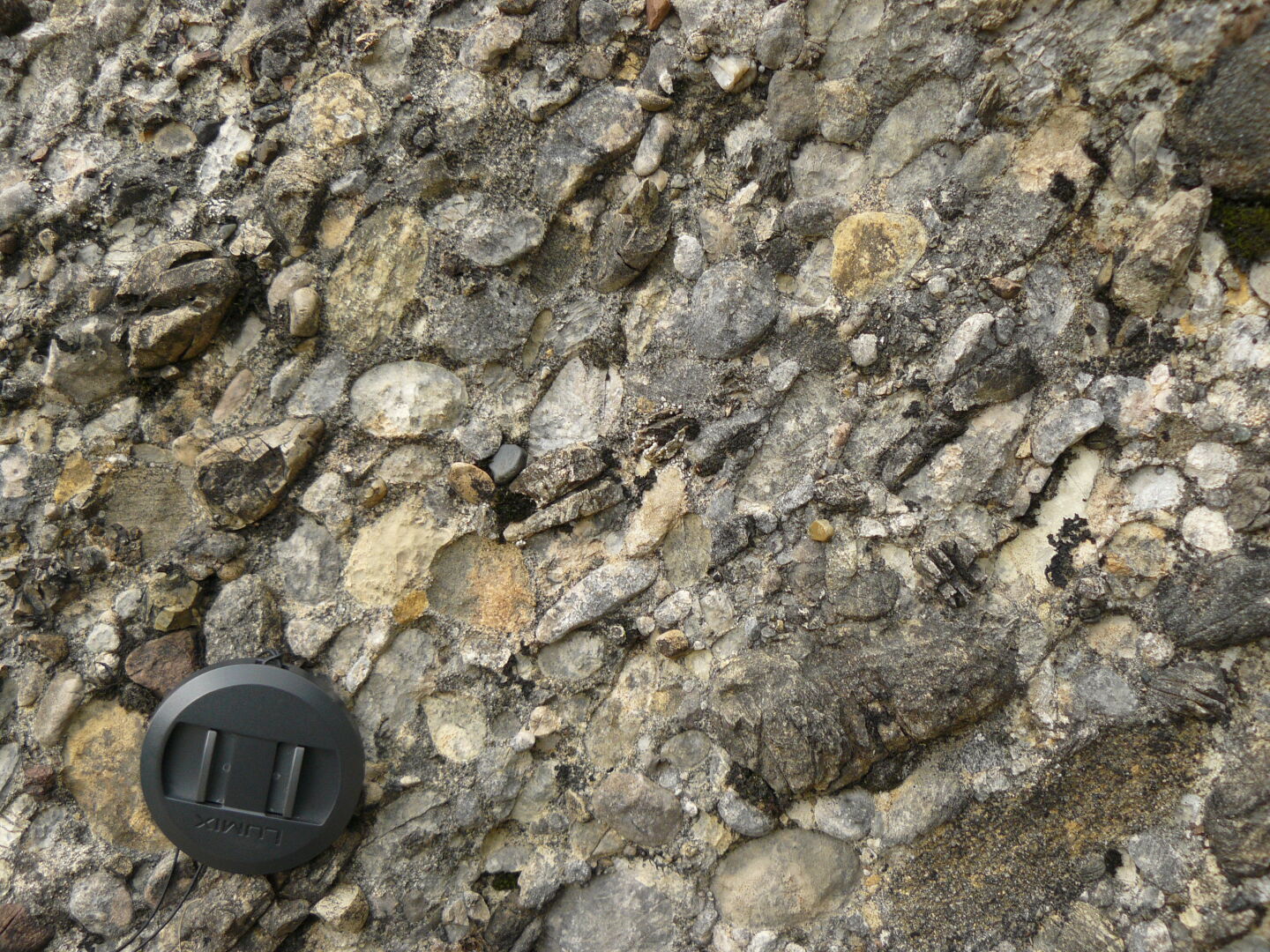 Typical stone formation of the area: a conglomerate called &quot;Nagelfluh&quot;.