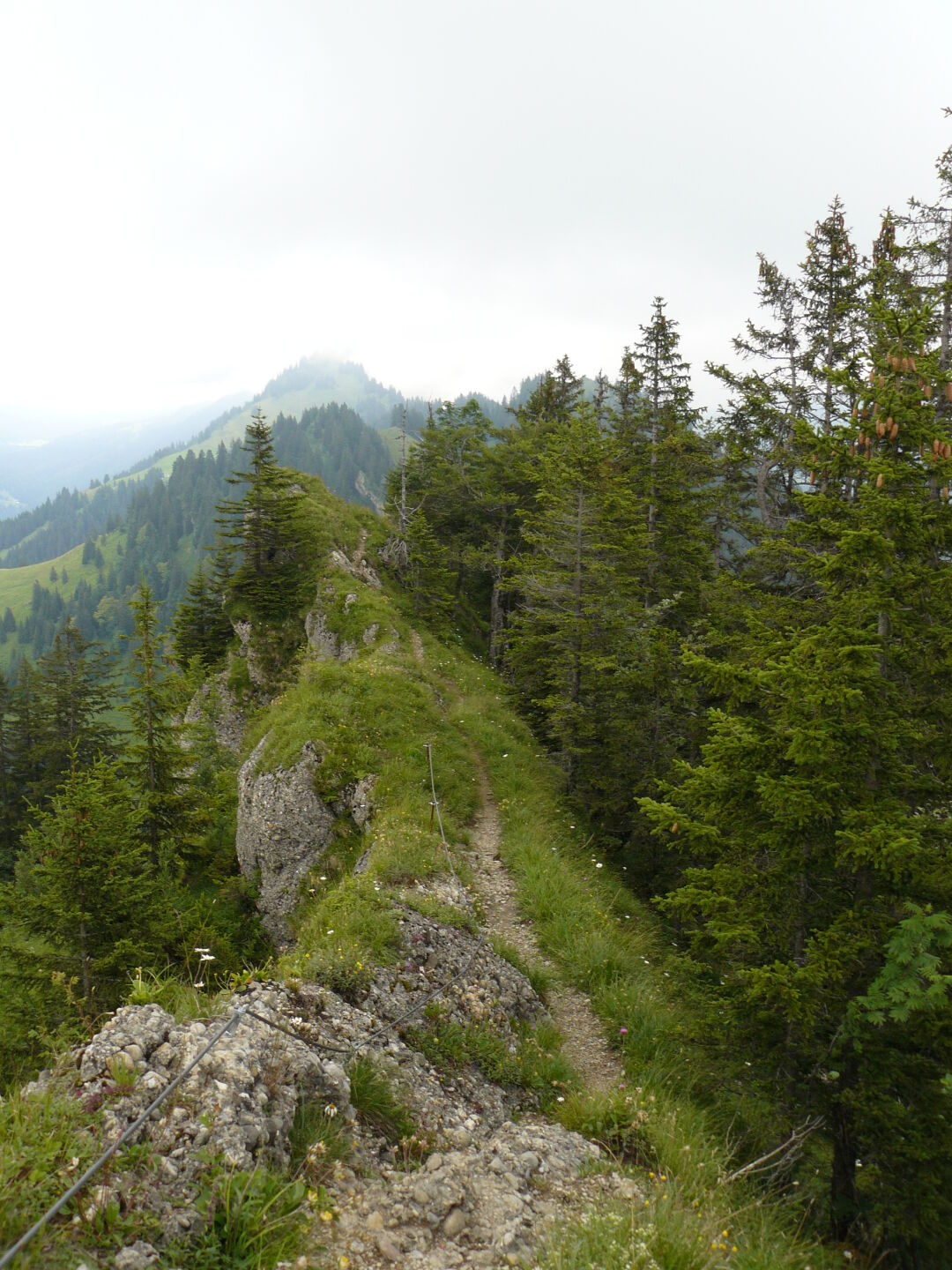 One of the narrow ridges of the Nagelfluh mountain range.