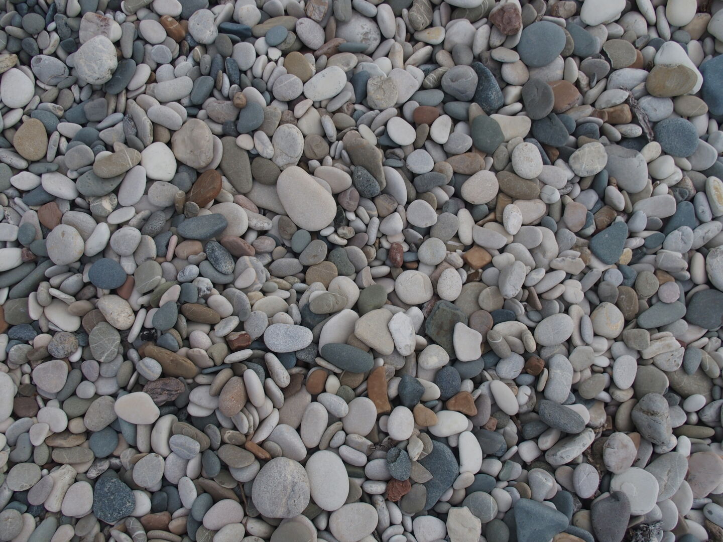 From a huge selection of pebbles...