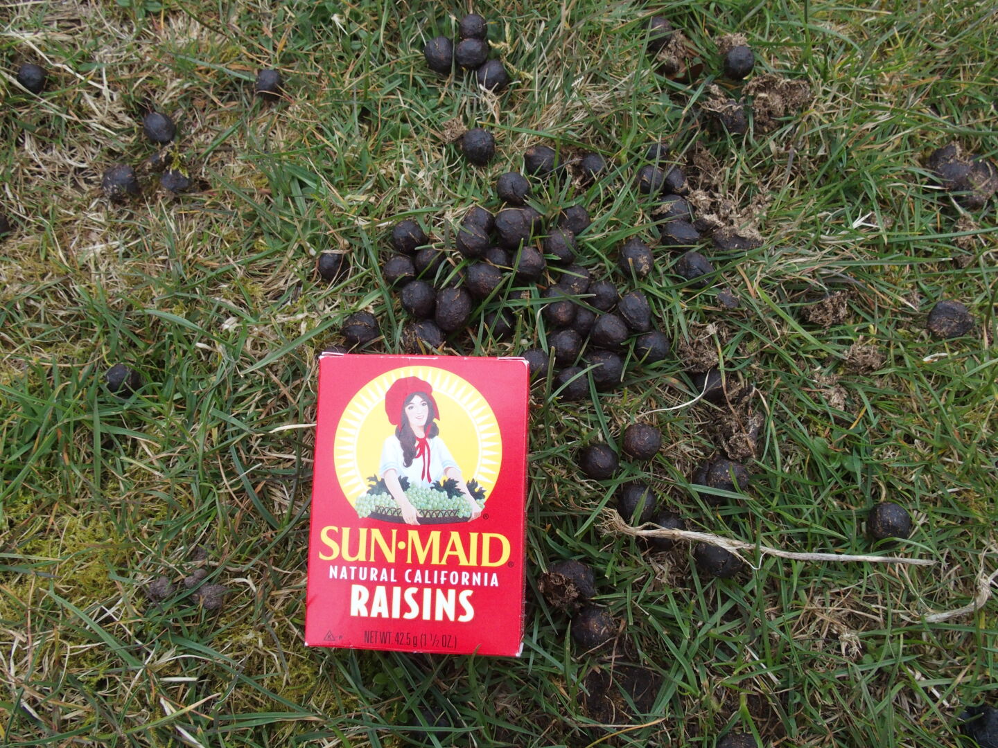 Raisins?