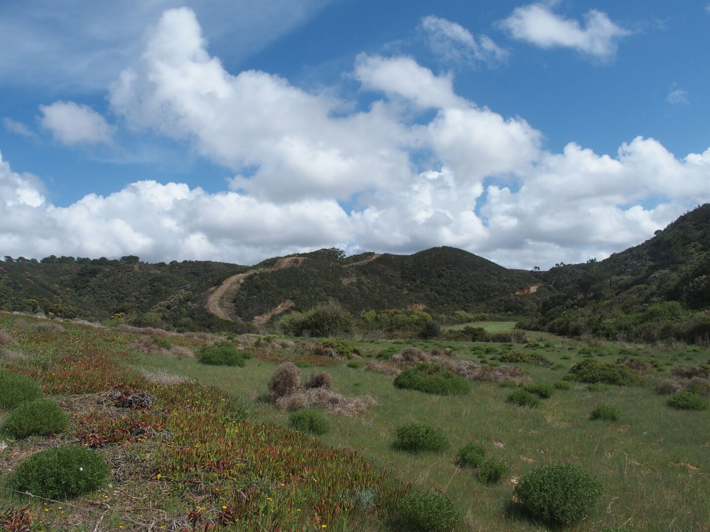 Hügel bei Amoreira.