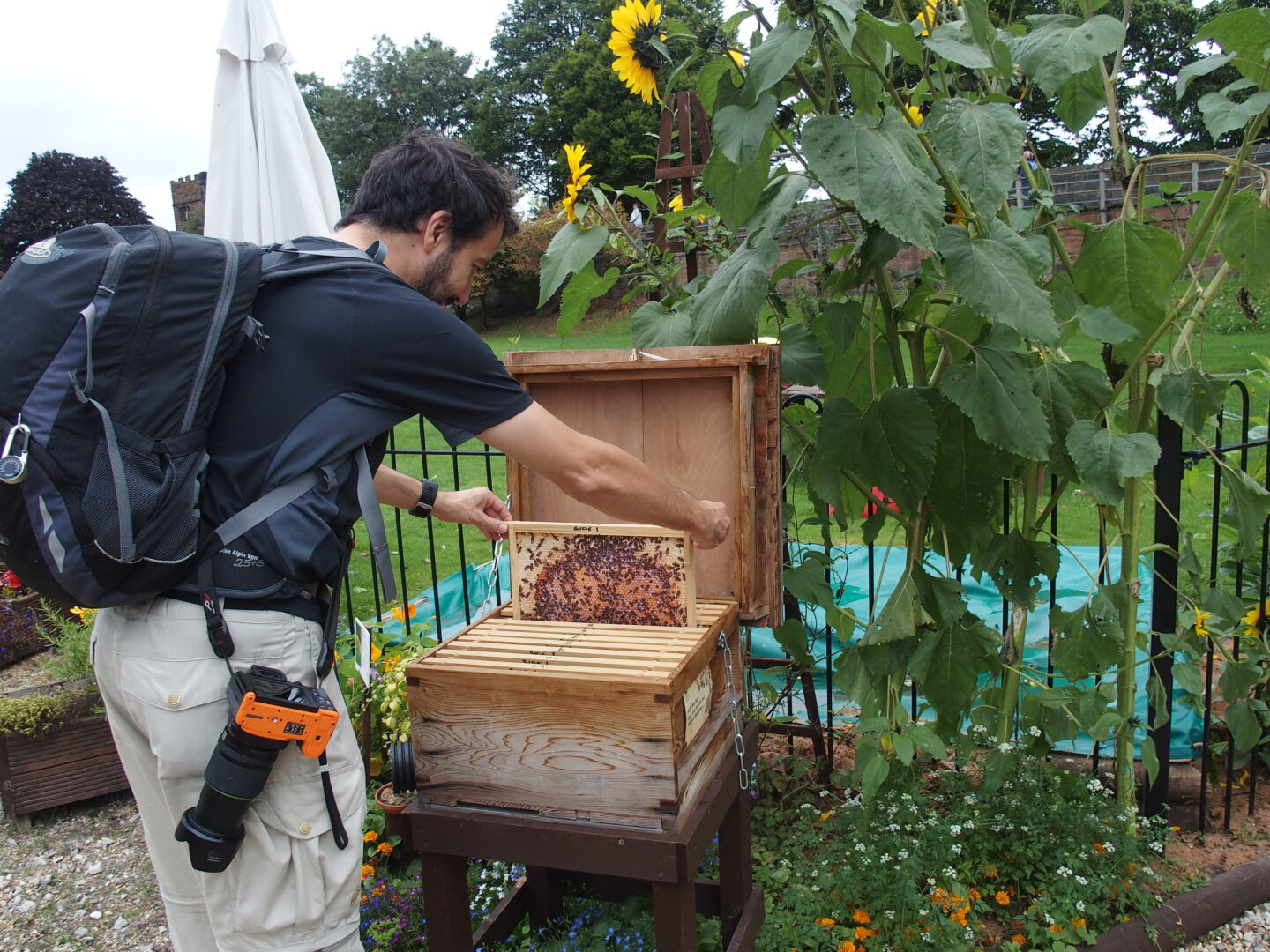 Beeing a beekeeper.