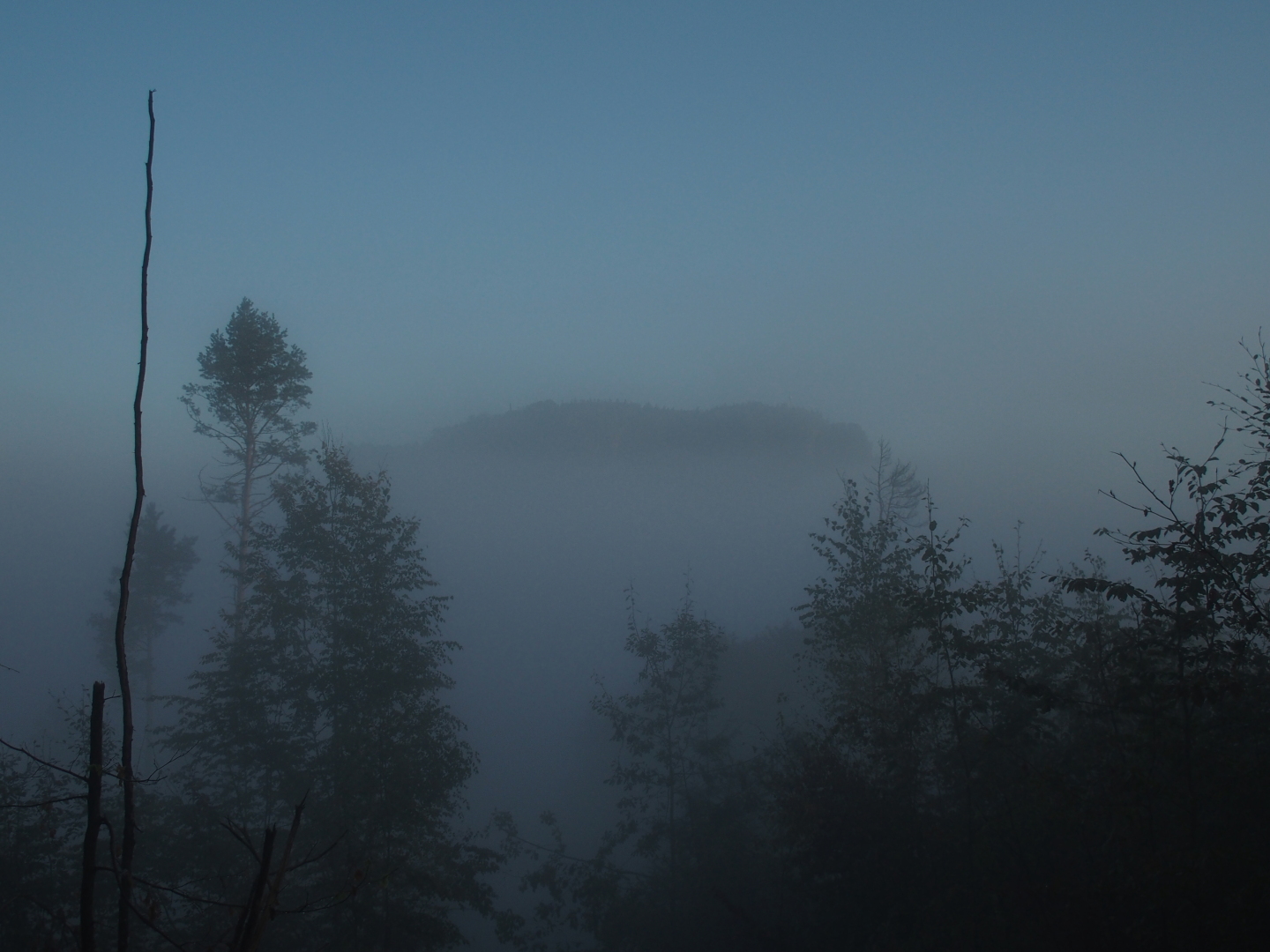 Blick zum Königstein; der berühmte Nebel.