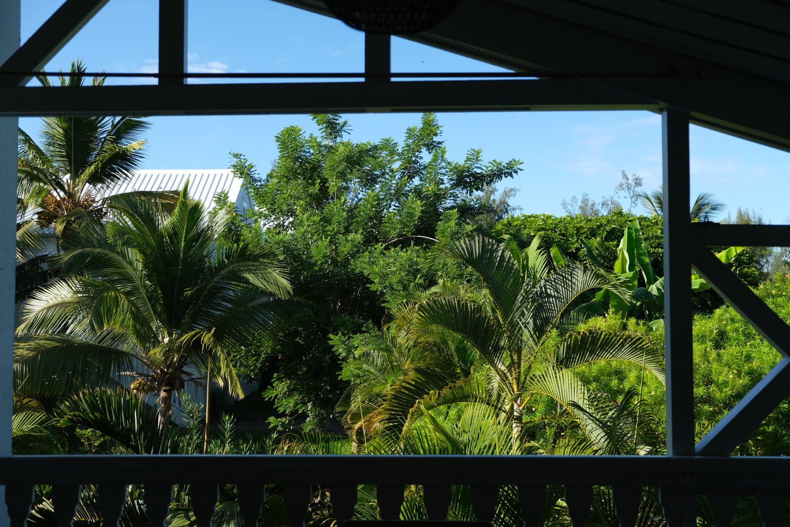 Blick vom Balkon unseres Apartments in St-Gilles in den Garten der Anlage.