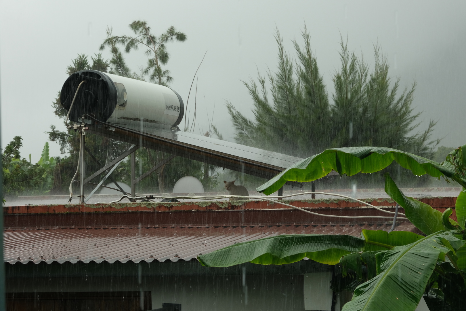 Das Wetter bei unserer Ankunft in Las Thuyas, Cilaos. Katzenwetter eben!