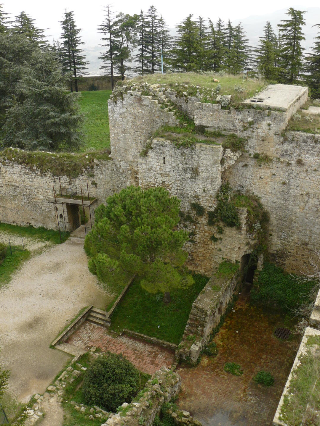 Vermutlich ließ König Friedrich II. von Sizilien das Castello di Lombardia in Enna errichten.
