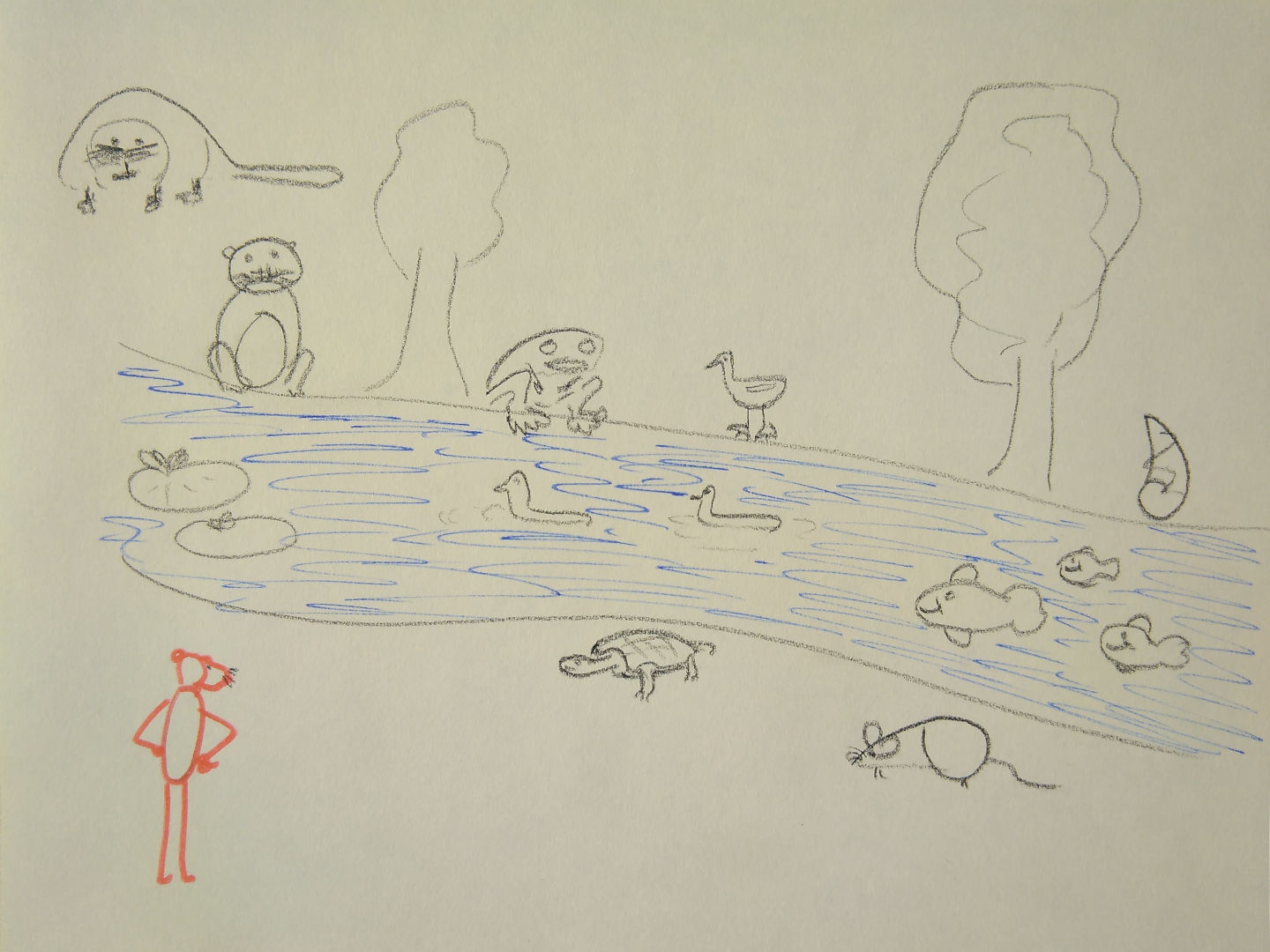 Then Panther arrives at a big river. Panther  thinks: "This river looks interesting. I will follow it to see where it comes from." There are flowers that grow on the water: water lilies! And many animals live in the river: ducks, geese, fish, and even a turtle! 